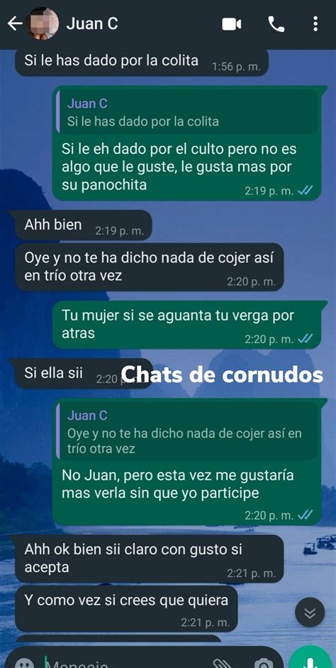 chat sexo cornudos|Chat cornudo